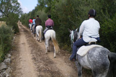 Les non cavaliers sont les bienvenus sur ce s&eacute;jour, de nombreuses activit&eacute;s leur sont propos&eacute;es comme la location de VTT - Randocheval 